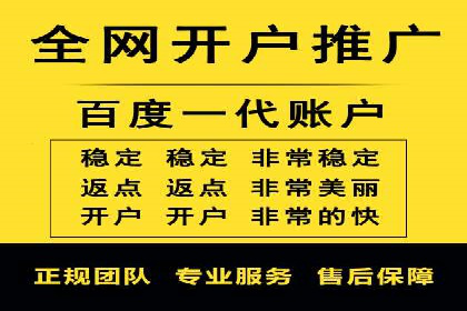 深度解析：竞价推广公司经典案例